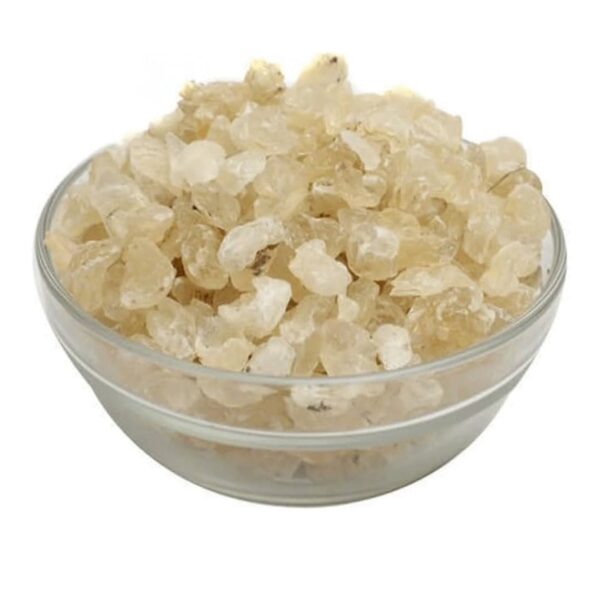 Badam pisin (Almond gum)